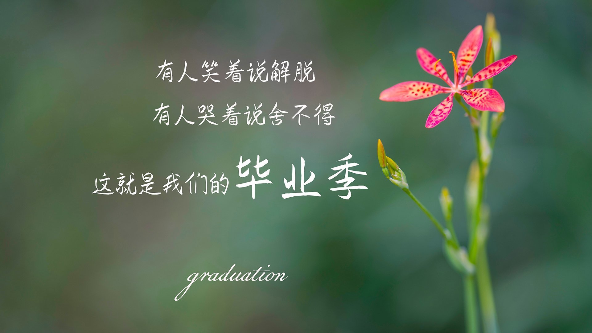 开云网页-体育明星参与体育公益创新项目推广，体育明星公益活动