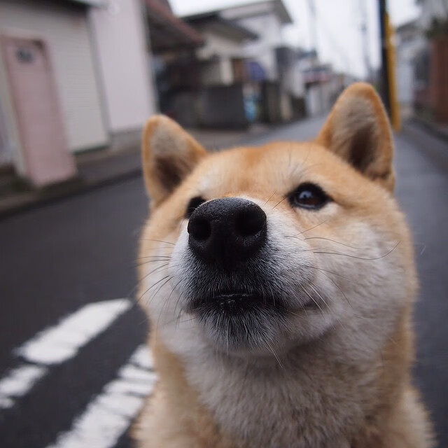 开云真人-田径场新增风向提示标识助力发挥,田径项目测定风速的项目是