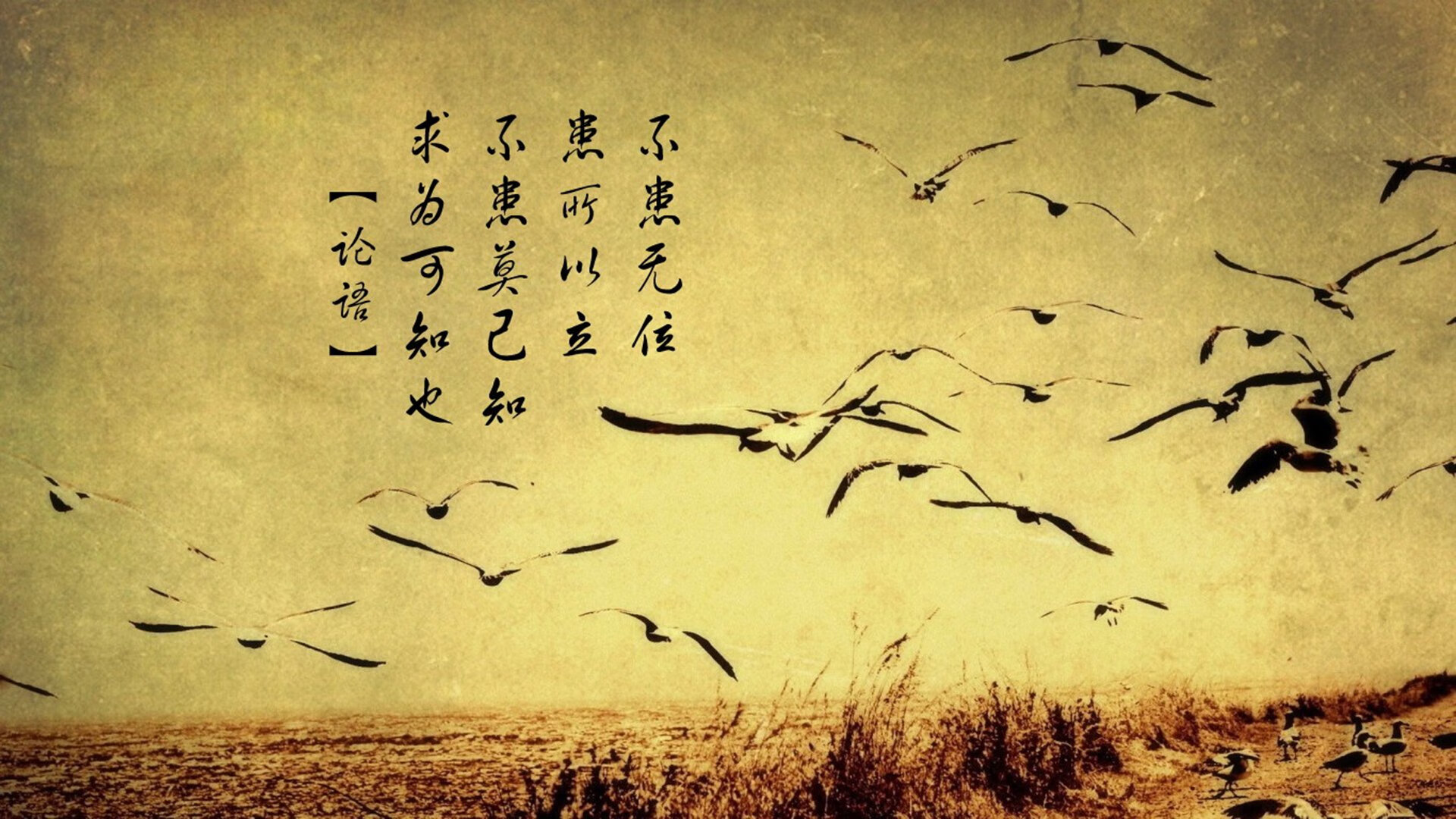 kaiyun中国官方网站-直播节奏同步AI剪辑模式实现自动分镜,直播节奏怎么把控