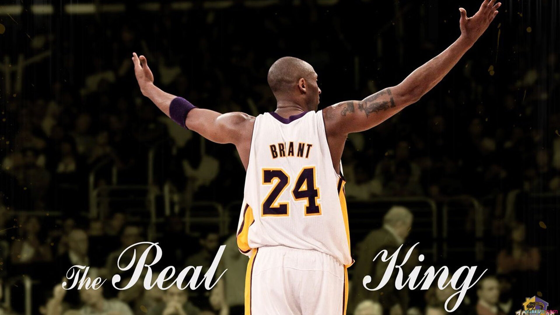 高校篮球扩大国际交流项目提升选手视野，高校篮球发展现状